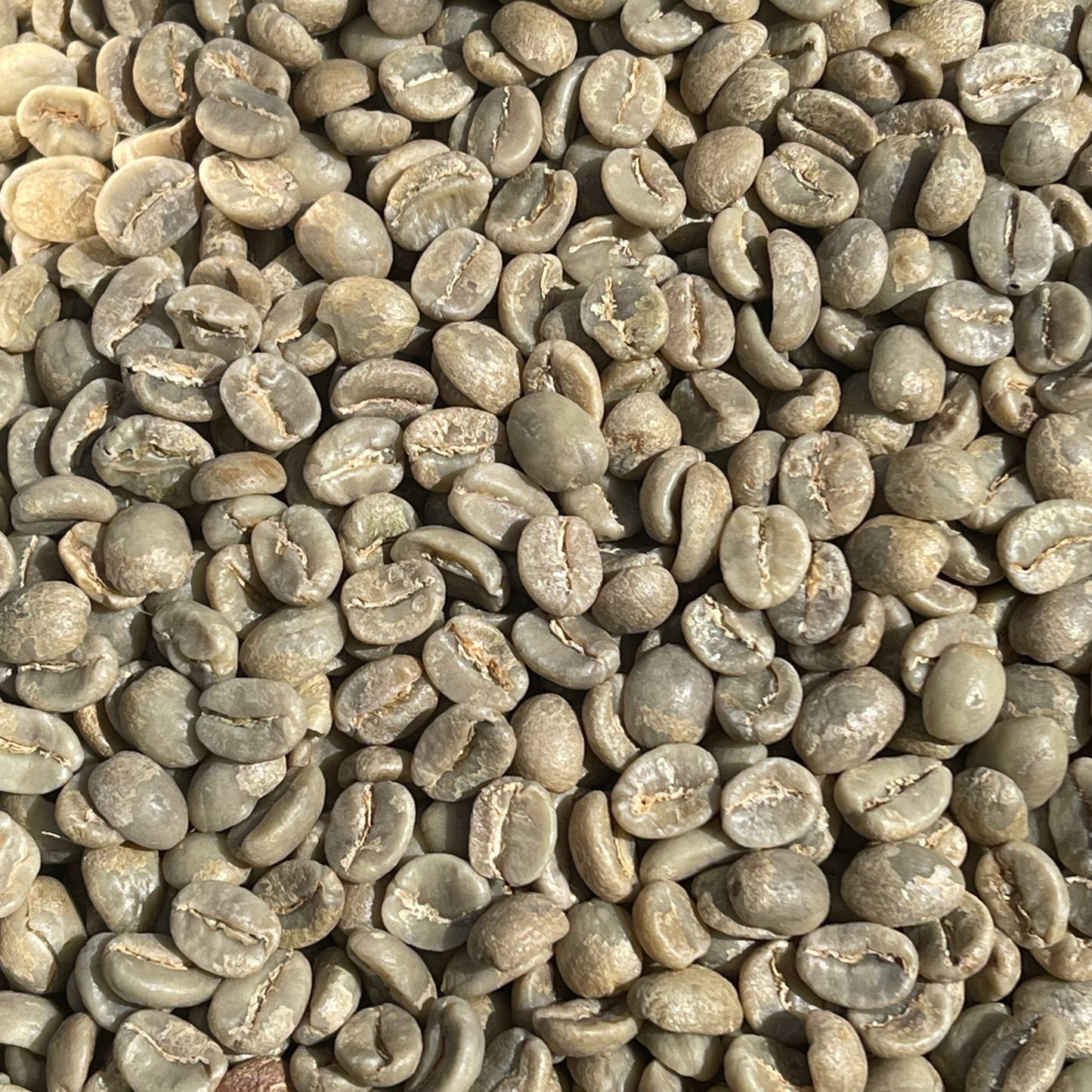 Dark Woods Blend Roasted Coffee Beans