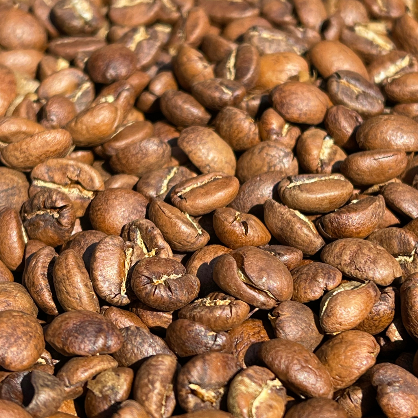 Dark Woods Blend Roasted Coffee Beans