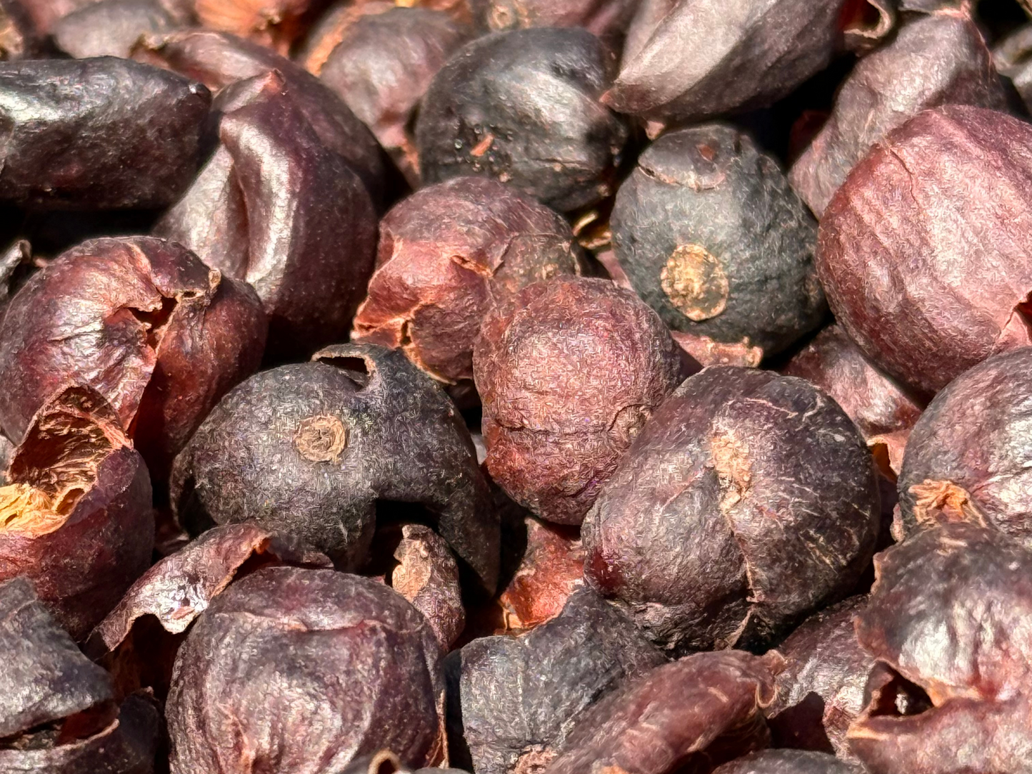 Costa Rica Cascara Tea