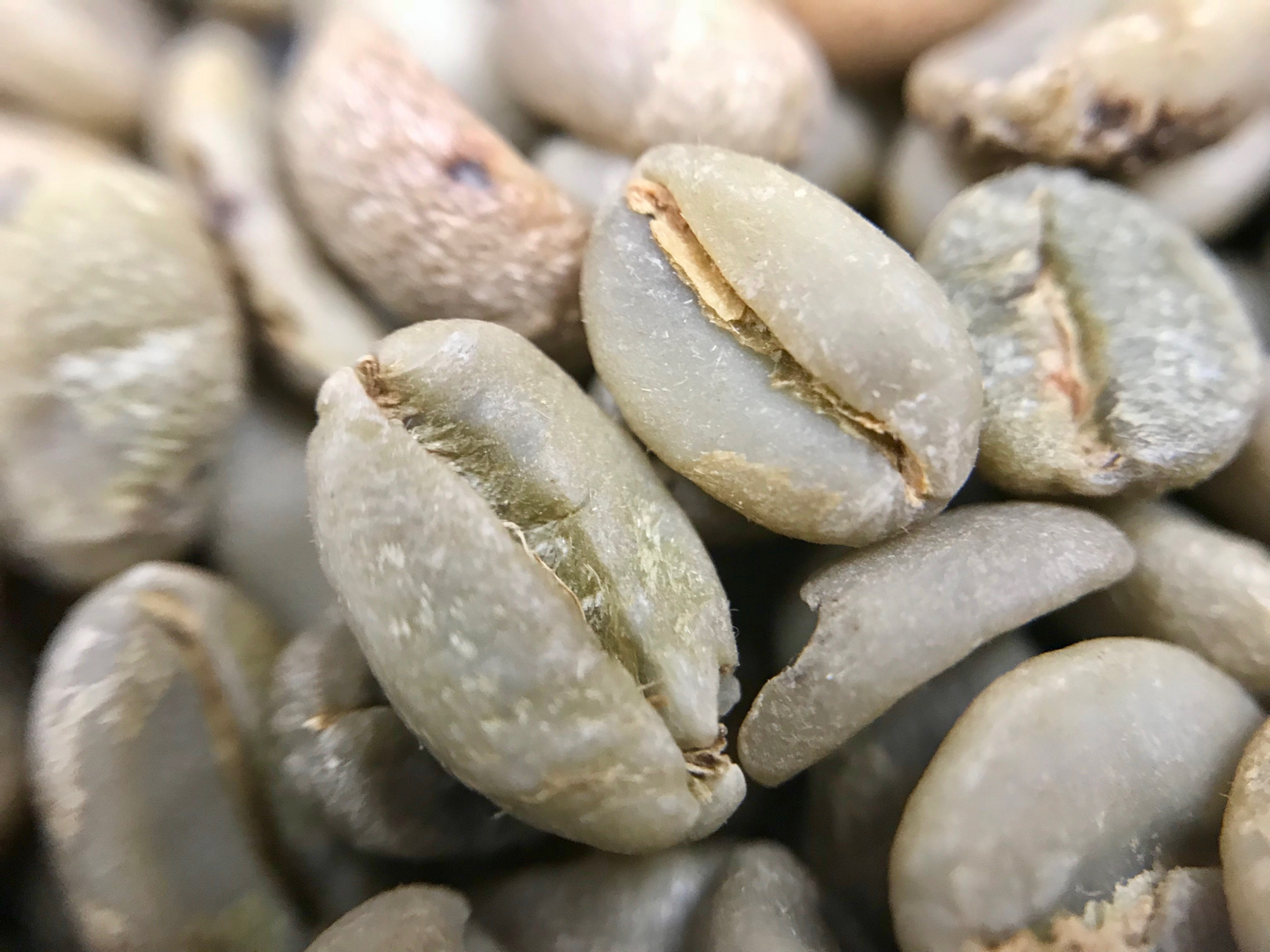 Sun Dried Ethiopia Guji Roasted Coffee Beans