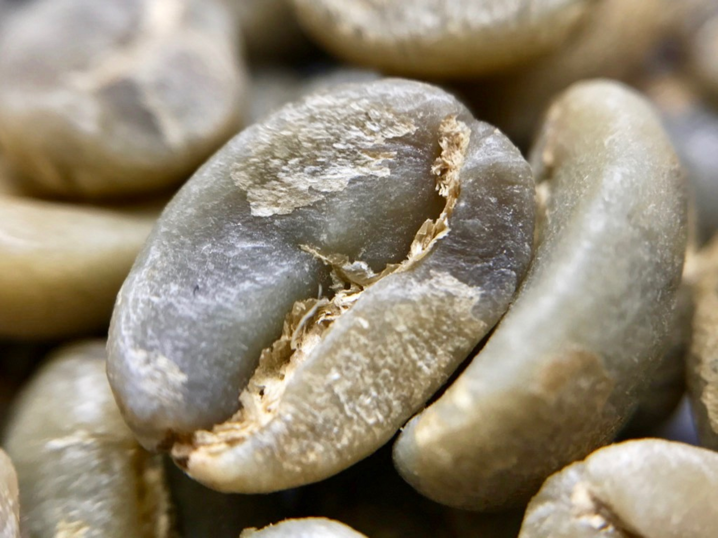 Fairy Blood Espresso Roasted Coffee Beans