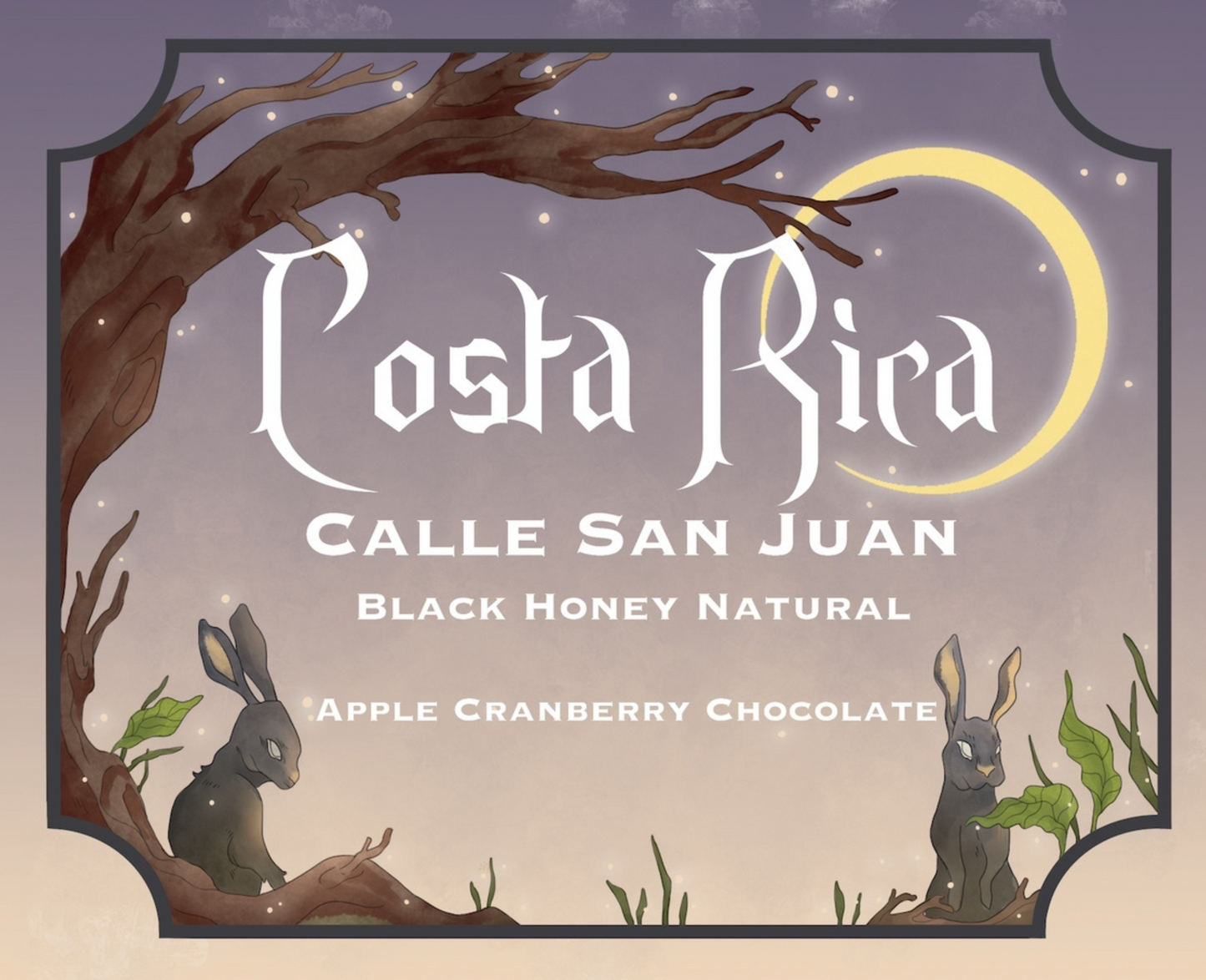 Costa Rica Calle Roasted Coffee Beans Sourced from San Juan