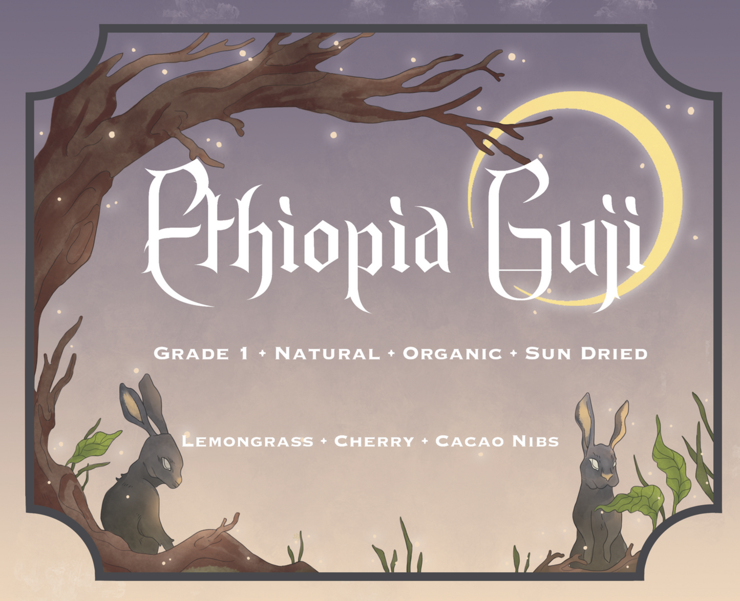 Sun Dried Ethiopia Guji Roasted Coffee Beans