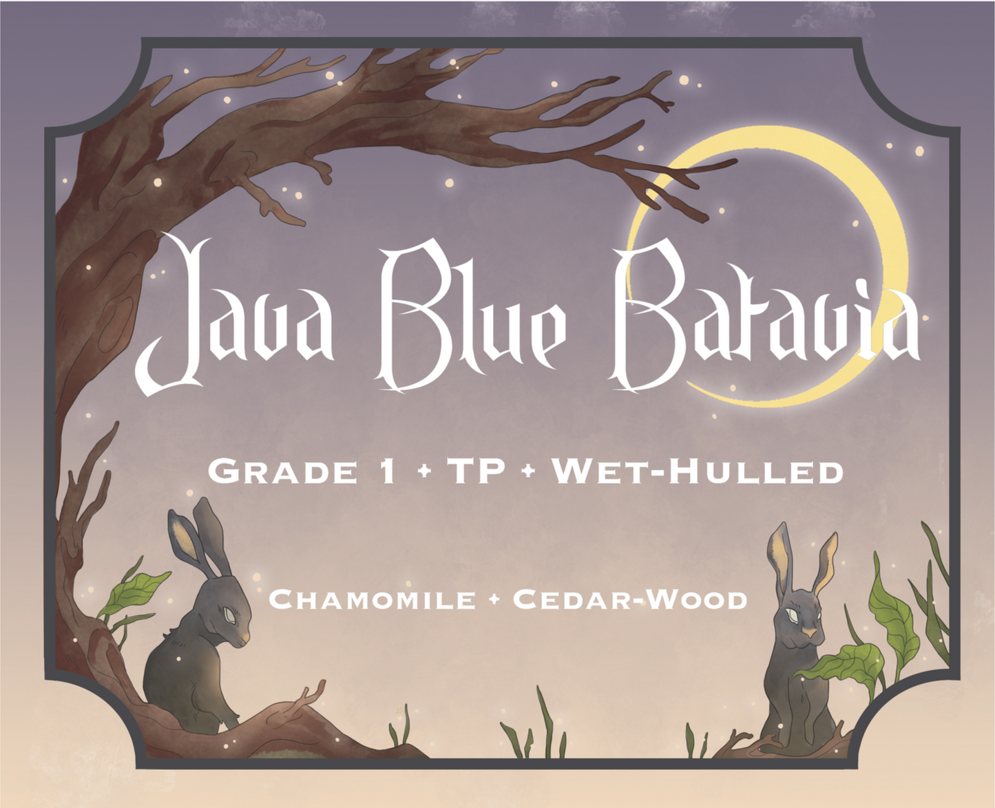 Java Blue Roasted Coffee Beans Sourced from Batavia