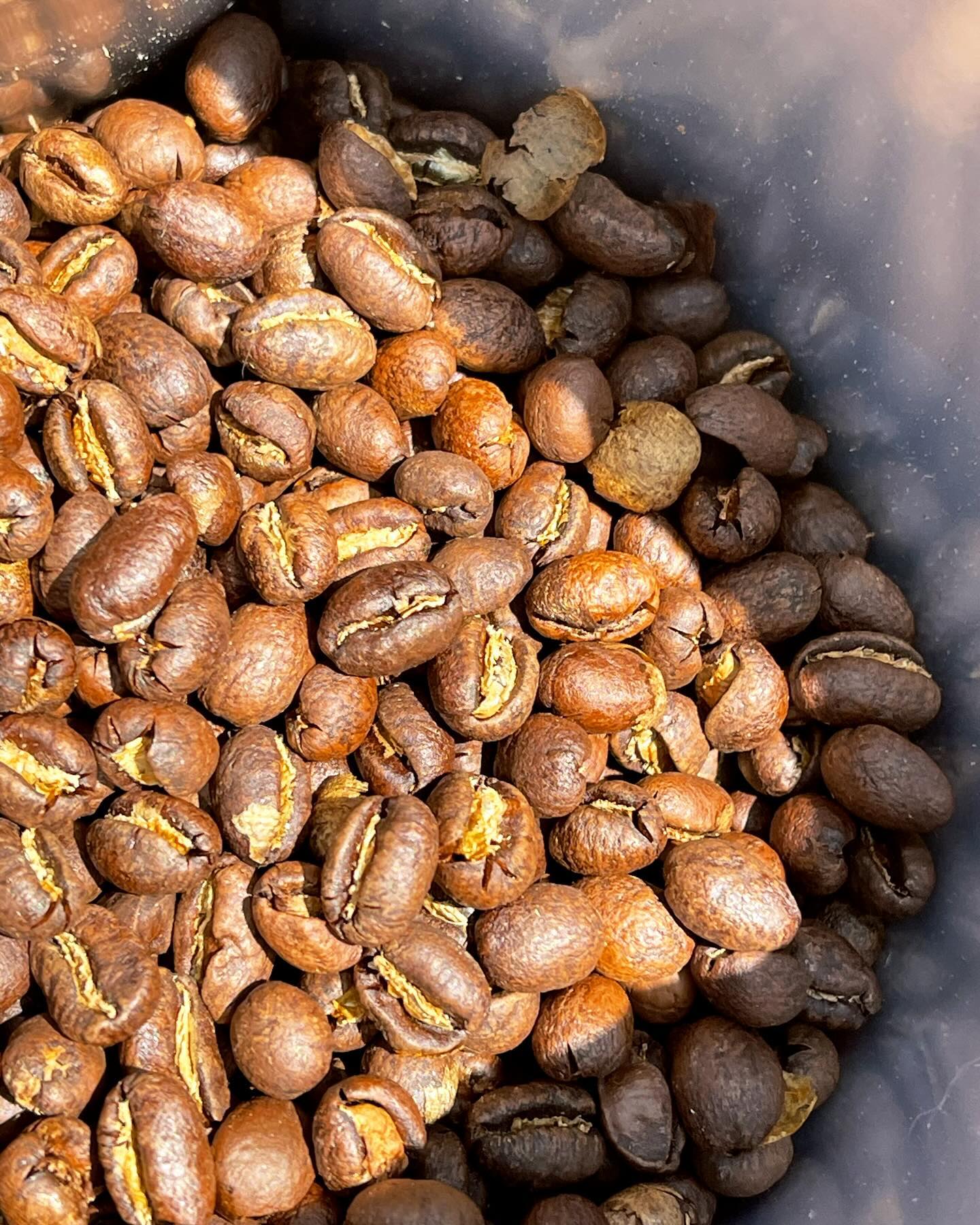 Ethiopian Guji Roasted Coffee Beans Sourced from Kayon Mountain Farm