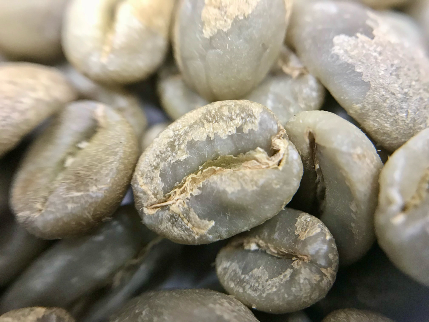 Columbian Roasted Coffee Beans Sourced from Fudam Narino