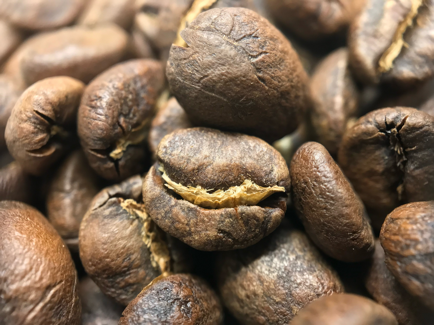 Columbian Roasted Coffee Beans Sourced from Fudam Narino