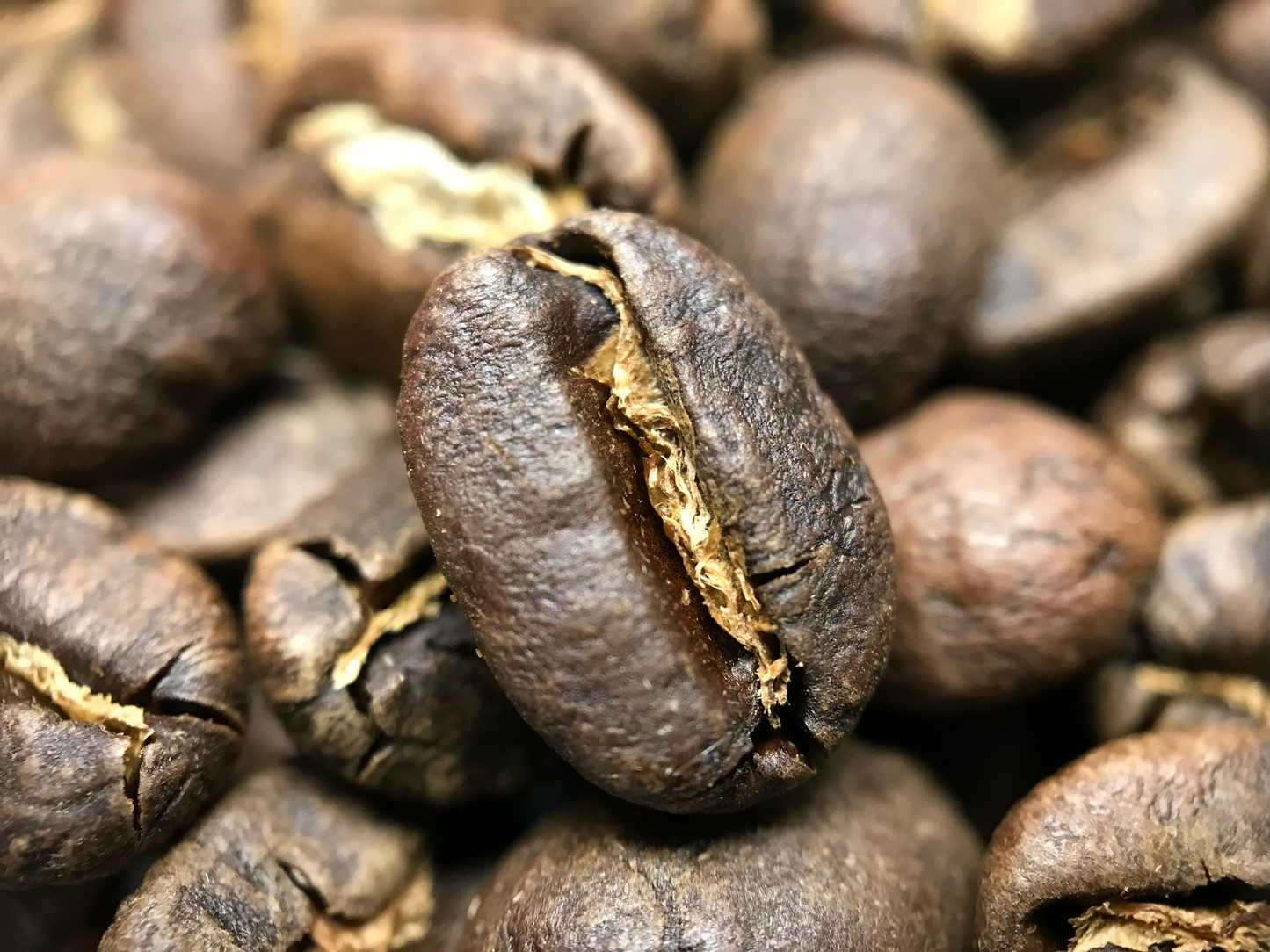 Sumatra Harimau Tiger Roasted Coffee Beans