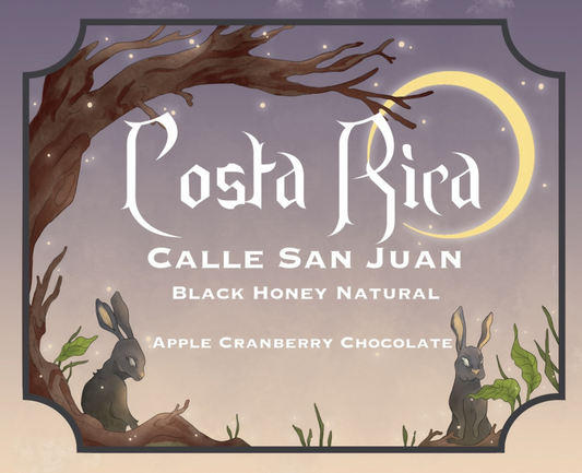 Costa Rica Calle Roasted Coffee Beans Sourced from San Juan
