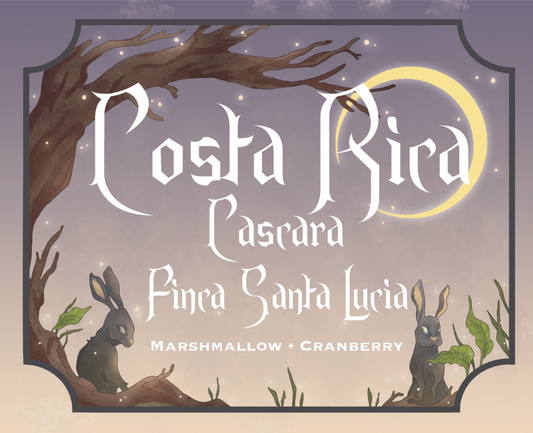 Costa Rica Cascara Tea
