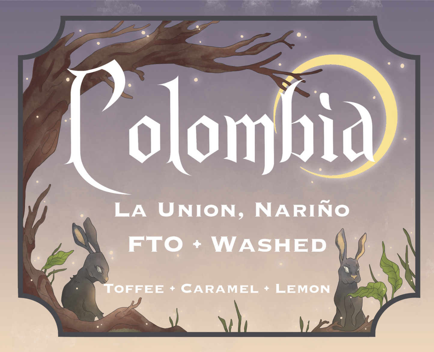 Columbian Roasted Coffee Beans Sourced from Fudam Narino