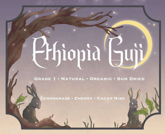 Sun Dried Ethiopia Guji Roasted Coffee Beans
