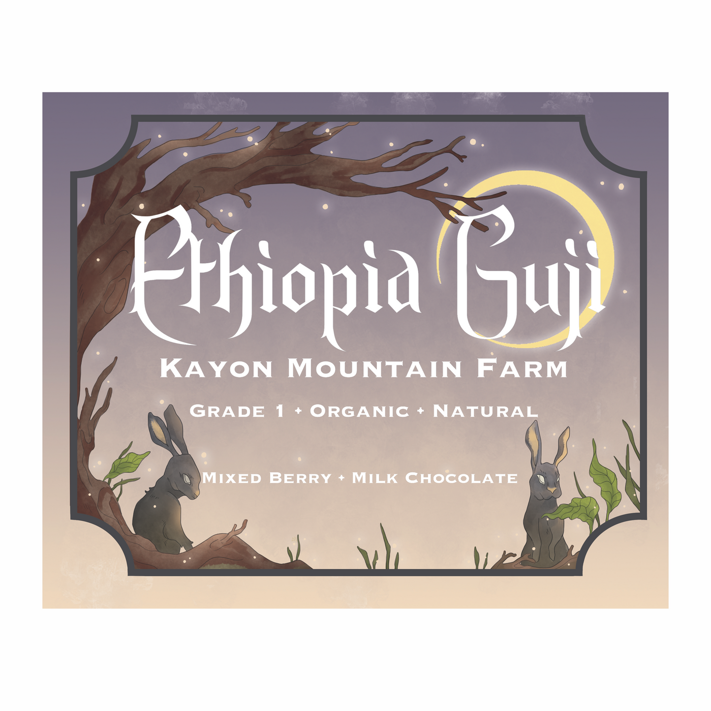 Ethiopian Guji Roasted Coffee Beans Sourced from Kayon Mountain Farm