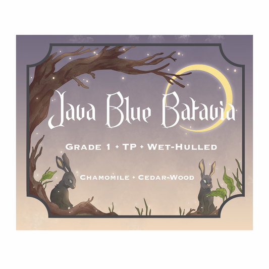 Java Blue Roasted Coffee Beans Sourced from Batavia