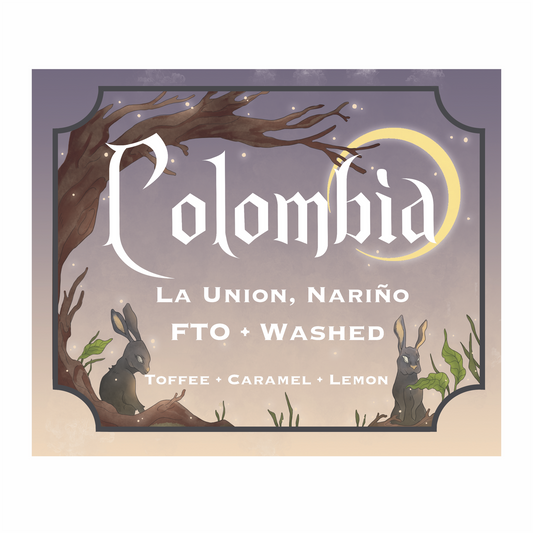 Columbian Roasted Coffee Beans Sourced from Fudam Narino