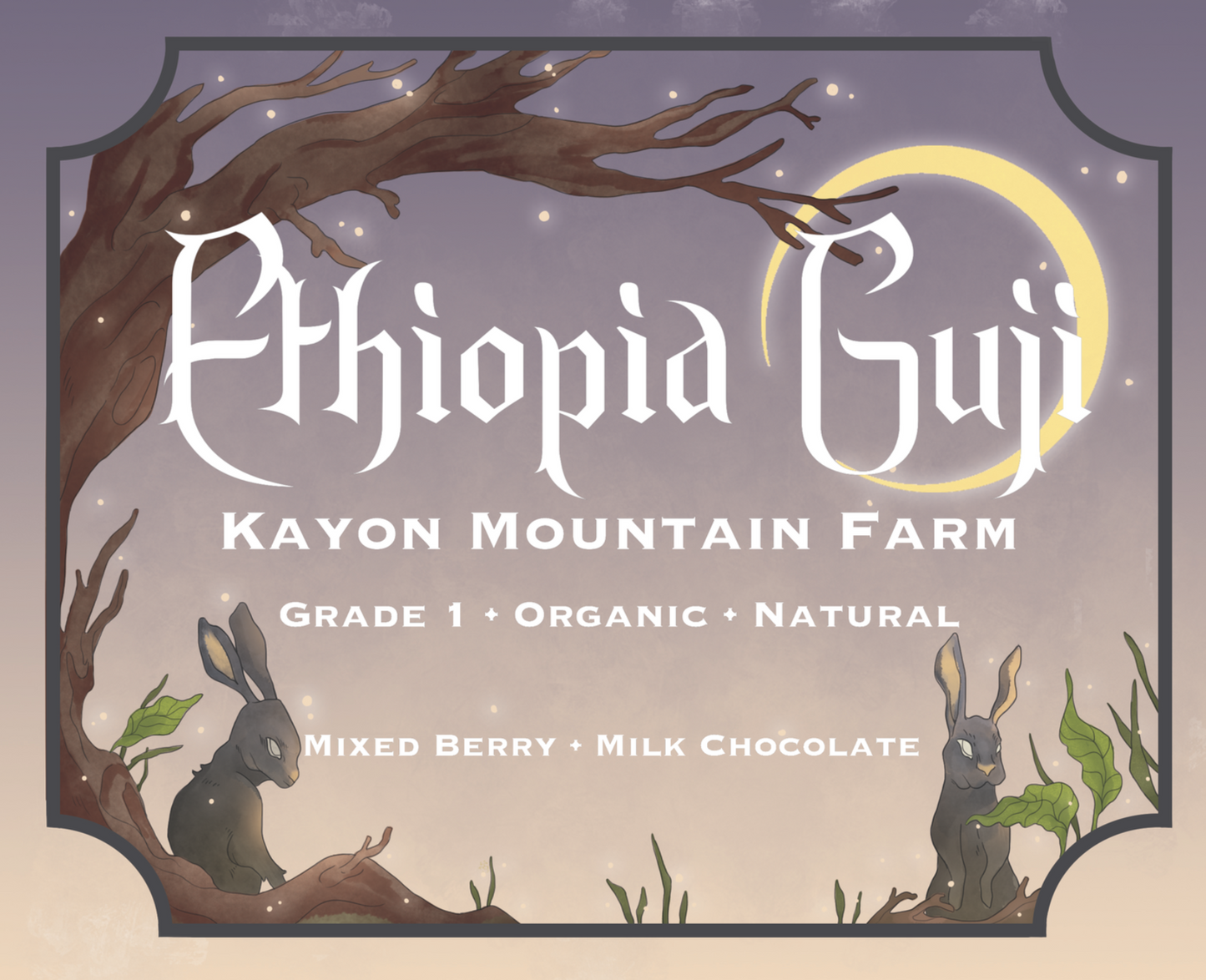 Ethiopian Guji Roasted Coffee Beans Sourced from Kayon Mountain Farm